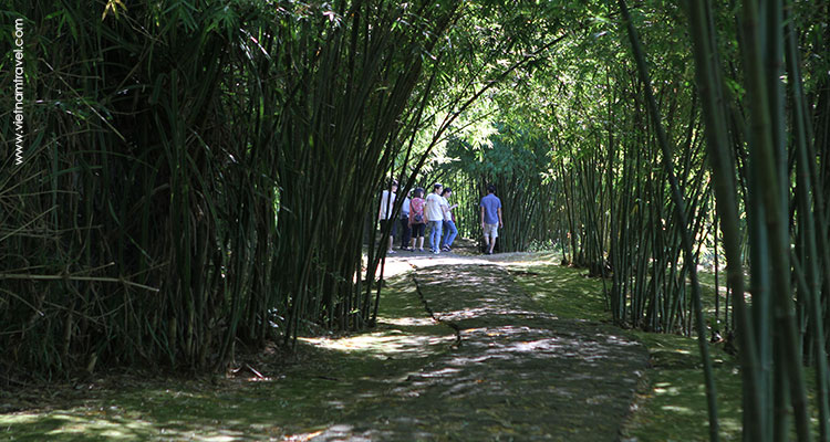 Vietnam-VinhMoc-5